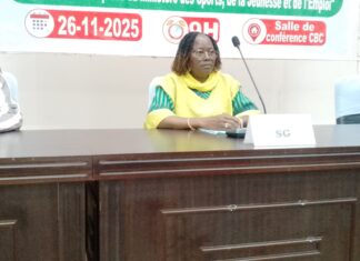 Ministère des Sports, de la Jeunesse et de l’Emploi : Réflexion autour des idéaux de la Révolution dans la mise en œuvre des actions