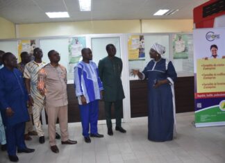 Dématérialisation des services: le secteur privé s’approprie les procédures