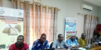 Programme de gestion durable des paysages communaux pour la REDD+ : le comité d’approbation des sous-projets se réunit pour la 2e fois