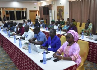 Initiative pour l’élimination du paludisme au Sahel: renforcer la collaboration régionale entre acteurs