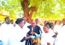 Opération spéciale de vaccination contre la rage: plus de 10 000 chiens et chats ciblés