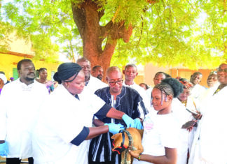 Opération spéciale de vaccination contre la rage: plus de 10 000 chiens et chats ciblés