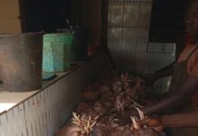 Hygiene des sites d’abattage de volaille: la police municipale félicite certains vendeurs