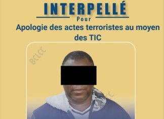 Apologie d’actes terroristes: un individu interpelé
