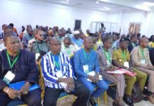 Lutte contre la fraude au Burkina: la digitalisation du certificat de mise  à la consommation, un enjeu crucial