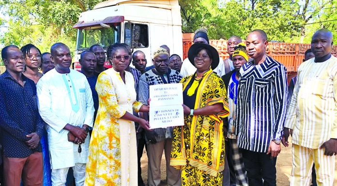 Faso Mêbo: le monde rural des Balé offre près de 30 tonnes de ciment