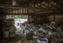 200 sacs d’aliments périmés et 600 sacs en reconditionnement douteux : la BMCRF démantèle un magasin clandestin à Kalgondé