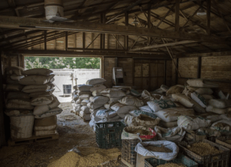 200 sacs d’aliments périmés et 600 sacs en reconditionnement douteux : la BMCRF démantèle un magasin clandestin à Kalgondé