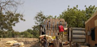 𝐂𝐲𝐚𝐧𝐮𝐫𝐞 𝐬𝐨𝐮𝐬 𝐂𝐨𝐮𝐯𝐞𝐫𝐭𝐮𝐫𝐞 𝐇𝐮𝐦𝐚𝐧𝐢𝐭𝐚𝐢𝐫𝐞 : 𝐥𝐚 𝐃𝐒𝐓 𝐃𝐞́𝐣𝐨𝐮𝐞 𝐥’𝐈𝐧𝐢𝐦𝐚𝐠𝐢𝐧𝐚𝐛𝐥𝐞