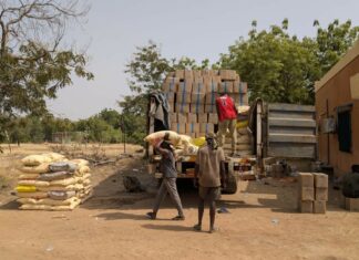 𝐂𝐲𝐚𝐧𝐮𝐫𝐞 𝐬𝐨𝐮𝐬 𝐂𝐨𝐮𝐯𝐞𝐫𝐭𝐮𝐫𝐞 𝐇𝐮𝐦𝐚𝐧𝐢𝐭𝐚𝐢𝐫𝐞 : 𝐥𝐚 𝐃𝐒𝐓 𝐃𝐞́𝐣𝐨𝐮𝐞 𝐥’𝐈𝐧𝐢𝐦𝐚𝐠𝐢𝐧𝐚𝐛𝐥𝐞