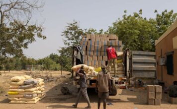 𝐂𝐲𝐚𝐧𝐮𝐫𝐞 𝐬𝐨𝐮𝐬 𝐂𝐨𝐮𝐯𝐞𝐫𝐭𝐮𝐫𝐞 𝐇𝐮𝐦𝐚𝐧𝐢𝐭𝐚𝐢𝐫𝐞 : 𝐥𝐚 𝐃𝐒𝐓 𝐃𝐞́𝐣𝐨𝐮𝐞 𝐥’𝐈𝐧𝐢𝐦𝐚𝐠𝐢𝐧𝐚𝐛𝐥𝐞