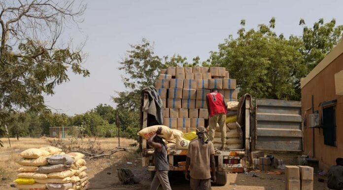 𝐂𝐲𝐚𝐧𝐮𝐫𝐞 𝐬𝐨𝐮𝐬 𝐂𝐨𝐮𝐯𝐞𝐫𝐭𝐮𝐫𝐞 𝐇𝐮𝐦𝐚𝐧𝐢𝐭𝐚𝐢𝐫𝐞 : 𝐥𝐚 𝐃𝐒𝐓 𝐃𝐞́𝐣𝐨𝐮𝐞 𝐥’𝐈𝐧𝐢𝐦𝐚𝐠𝐢𝐧𝐚𝐛𝐥𝐞