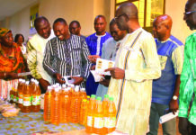 Campagne de Commercialisation du sésame 2025-2026: prix planché bord-champ à 535 F CFA