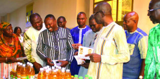 Campagne de Commercialisation du sésame 2025-2026: prix planché bord-champ à 535 F CFA