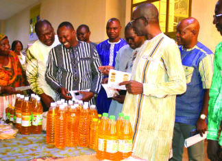 Campagne de Commercialisation du sésame 2025-2026: prix planché bord-champ à 535 F CFA