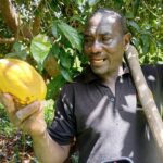 Cultures exotiques au Burkina: Daouda Ouattara démystifie la production du cacao, de l’avocat et du cola