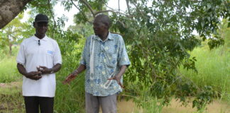 Commune rurale de Legmoin dans le Djôrô: le marigot sacré « Silome baa » crie au secours