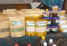 Gaoua : une foire pour valoriser les produits forestiers non ligneux