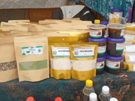 Gaoua : une foire pour valoriser les produits forestiers non ligneux
