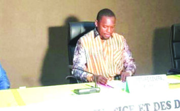 Journées internationales de tolérance et de paix: l’efficacité des mécanismes endogènes saluée