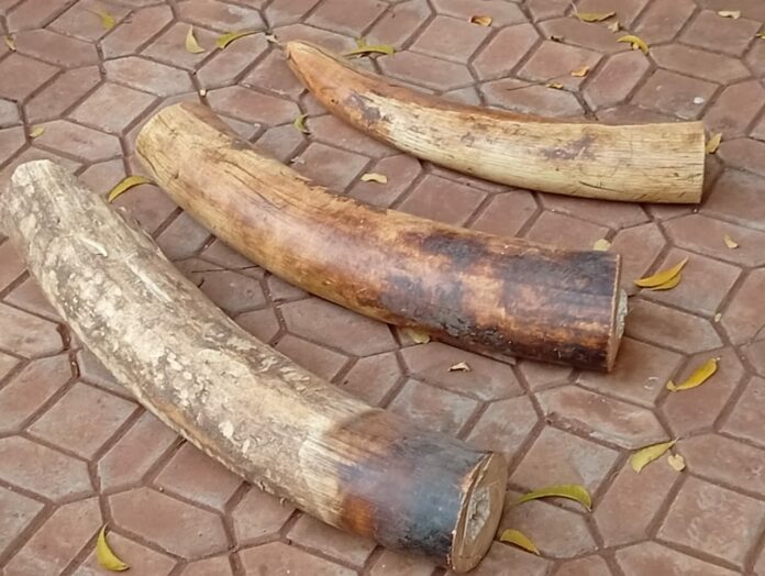 WhatsApp Image 2025-11-07 at 16.38.33