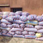 Lancement officiel de la vente aux enchères des AMANDES de KARITÉ saisies : un coup de pouce à l’industrie locale