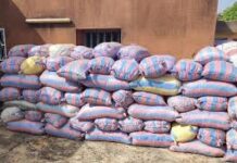 Lancement officiel de la vente aux enchères des AMANDES de KARITÉ saisies : un coup de pouce à l’industrie locale