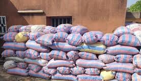 Lancement officiel de la vente aux enchères des AMANDES de KARITÉ saisies : un coup de pouce à l’industrie locale