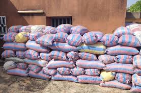 Lancement officiel de la vente aux enchères des AMANDES de KARITÉ saisies : un coup de pouce à l’industrie locale