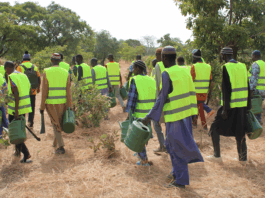 Le Lieutenant-colonel Adama Kalmogo, directeur provincial des Eaux et forêts du Zoundwéogo « Si le président du Faso donne l’exemple en mettant en terre un arbre, qui êtes-vous pour détruire les plantes ? »