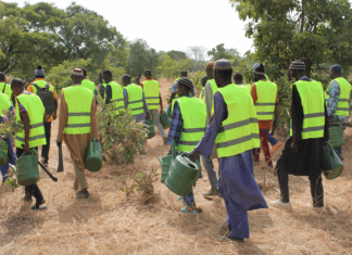 Le Lieutenant-colonel Adama Kalmogo, directeur provincial des Eaux et forêts du Zoundwéogo « Si le président du Faso donne l’exemple en mettant en terre un arbre, qui êtes-vous pour détruire les plantes ? »
