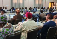 Autorité du Bassin du Niger: les experts examinent les dossiers du prochain Conseil des ministres