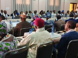 Autorité du Bassin du Niger: les experts examinent les dossiers du prochain Conseil des ministres