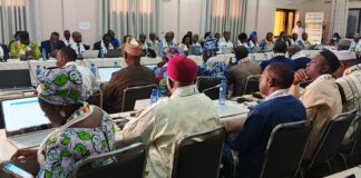 Autorité du Bassin du Niger: les experts examinent les dossiers du prochain Conseil des ministres