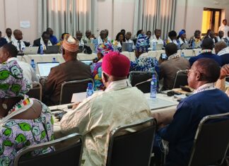 Autorité du Bassin du Niger: les experts examinent les dossiers du prochain Conseil des ministres