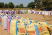 Escadron de sécurisation routière et d’intervention de la 2e Légion de gendarmerie : Immersion dans le double front des offensives sécuritaires et agricoles