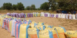 Escadron de sécurisation routière et d’intervention de la 2e Légion de gendarmerie : Immersion dans le double front des offensives sécuritaires et agricoles