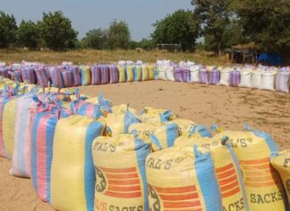 Escadron de sécurisation routière et d’intervention de la 2e Légion de gendarmerie : Immersion dans le double front des offensives sécuritaires et agricoles