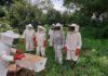 Apiculture : une source de revenus pour les femmes rurales