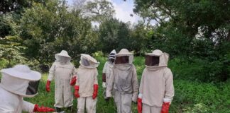 Apiculture : une source de revenus pour les femmes rurales