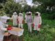 Apiculture : une source de revenus pour les femmes rurales