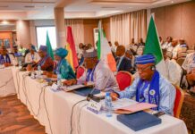 Autorité du Bassin du Niger : la dynamisation de l’organisation au centre de la 44e session