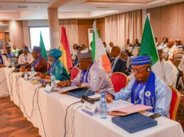 Autorité du Bassin du Niger : la dynamisation de l’organisation au centre de la 44e session