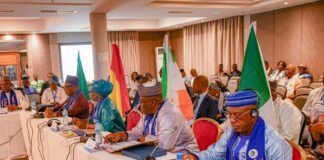 Autorité du Bassin du Niger : la dynamisation de l’organisation au centre de la 44e session