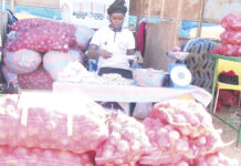 Première édition du Salon régional de pomme de terre et de l’oignon (SARPO): promouvoir les filières pomme de terre et oignon pour un développement endogène