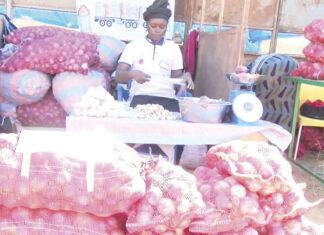 Première édition du Salon régional de pomme de terre et de l’oignon (SARPO): promouvoir les filières pomme de terre et oignon pour un développement endogène