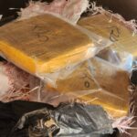 595918021_1294609536040689_6442726604963591235_n