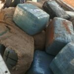 596150101_1294609486040694_6297882781184395569_n