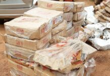 Lutte contre le trafic de produits d’origine animale : des produits impropres saisis et transformés en engrais