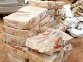 Lutte contre le trafic de produits d’origine animale : des produits impropres saisis et transformés en engrais